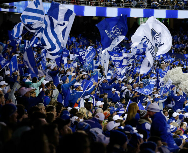 North Melbourne cheersquad at Marvel Stadium